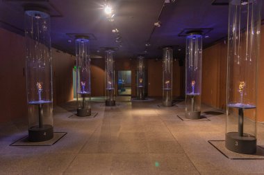 Panagyurishte, Bulgaristan, 22 Haziran 2020: Bulgaristan 'ın Panagyurishte kentinde sergilenen altın hazineden eşyalar