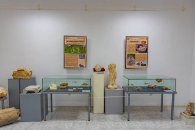 Dimitrovgrad, Bulgaristan, 26 Haziran 2020: Bulgaristan 'ın Dimitrovgrad kentindeki tarihi müzenin içi