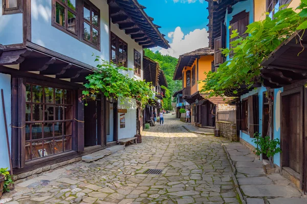 Etar, Bulgaristan, 24 Haziran 2020: Etar Etnoğrafya Kompleksi 'nde geleneksel Bulgar mimarisi sergilendi