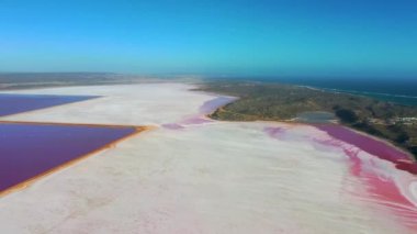 Avustralya 'da Pembe Göl yağlı Limanda