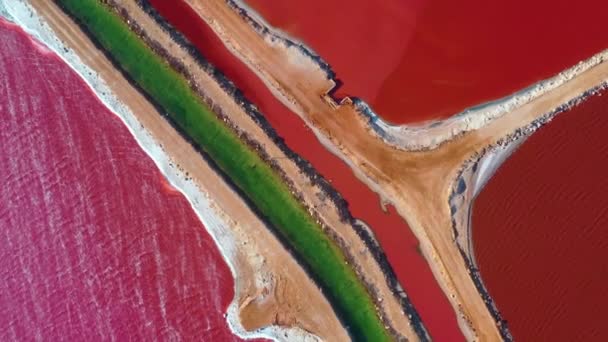 Różowe Jezioro Port Gregory Australii — Wideo stockowe
