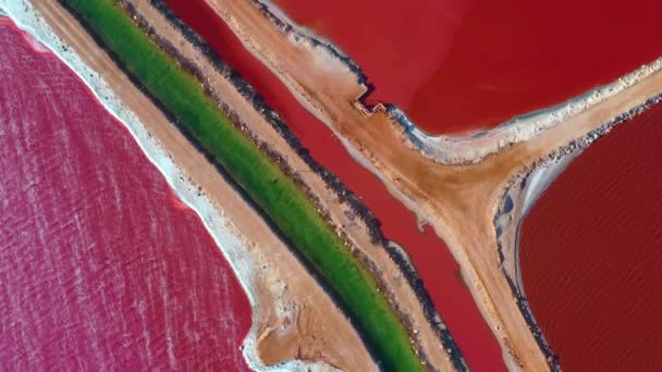 Roze Meer Bij Haven Gregory Australië — Stockvideo