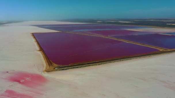 Růžové Jezero Přístavu Gregory Austrálii — Stock video