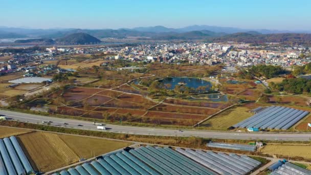 Vista Aérea Lagoa Gungnamji Buyeo República Coreia — Vídeo de Stock