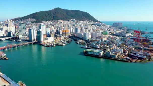 Busan Korea Oktober 2019 Flygfoto Över Fiskehamnen Busan Sydkorea — Stockvideo