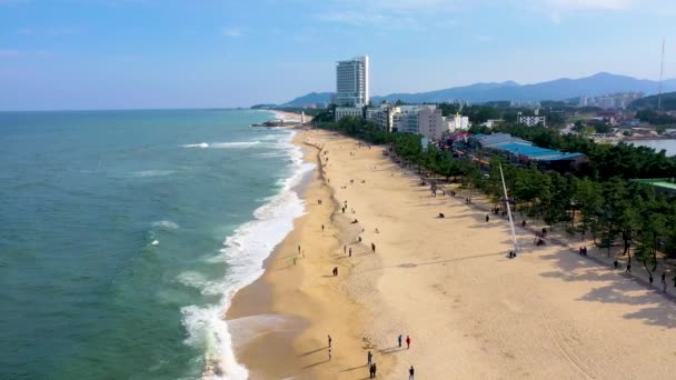 People Strolling Gyeongpo Beach Gangneung Republic Korea — 비디오