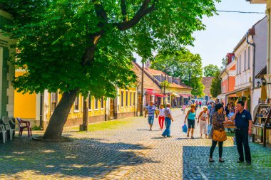 SZENTENDRE, HUNGARY 22 Mayıs 2016: Macaristan 'ın Szentendre kasabasında insanlar vızıldayan bir sokakta yürüyor