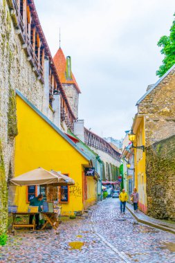 TALLIN, ESTONIA, 16 AĞUSTOS 2016: Estonya 'nın başkenti Tallin' deki ortaçağ kalesinin yanında uzanan renkli binaların manzarası.