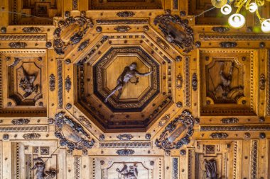 BOLOGNA, İtalya, 17 Mart 2016: İtalya 'nın Bologna kentindeki teatro anatomico' nun dekoratif tavan manzarası.