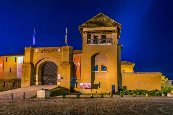 ESZTERGOM, HUNGARY 21 Mayıs 2016: Macaristan 'ın Esztergom kentindeki kraliyet kalesinin gece görüşü