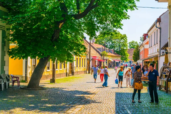 SZENTENDRE, HUNGARY 22 Mayıs 2016: Macaristan 'ın Szentendre kasabasında insanlar vızıldayan bir sokakta yürüyor