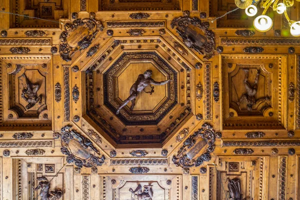 BOLOGNA, İtalya, 17 Mart 2016: İtalya 'nın Bologna kentindeki teatro anatomico' nun dekoratif tavan manzarası.