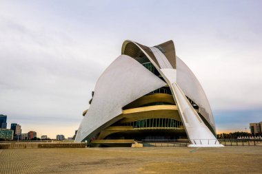 VALENCIA, SPAIN, DECEMBER 31, 2015: view of the palau de les arts reina sofia concert hall in spanish city valencia
