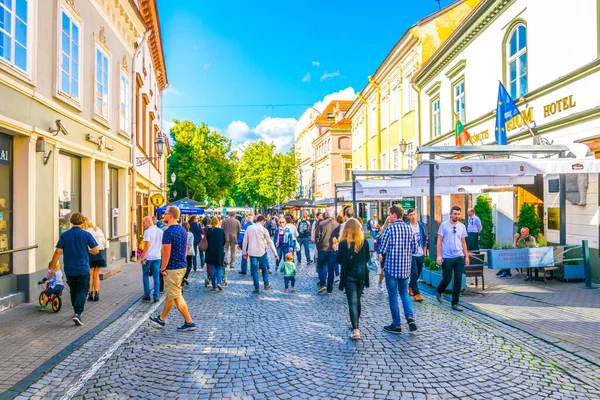 VILNIUS, LITHUANIA, 14 Ağustos 2016: Pilies gatve Litvanya 'nın Vilnius kentindeki ana turizm caddesi