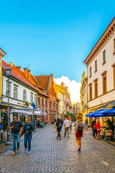 Vilnius Lithuania August 2016 Pilies Gatve Main Tourist Street Vilnius — Foto de Stock