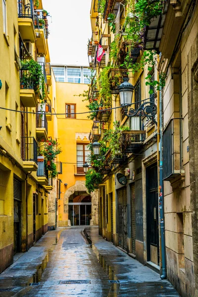 VALENCIA, İspanya, 30 ARALIK 2015: İspanya 'nın tarihi merkezi Valencia' da yer alan dar bir caddenin manzarası