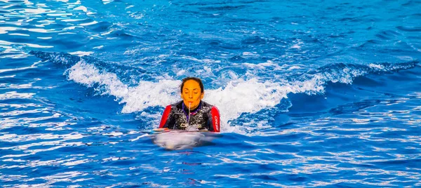 Valencia Espanha Dezembro 2015 Treinador Está Brincando Com Golfinho Uma — Fotografia de Stock