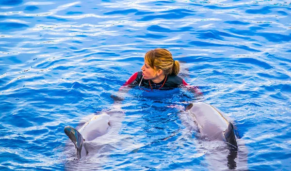 Valencia Spanyolország December 2015 Egy Edző Játszik Egy Delfinnel Medencében — Stock Fotó