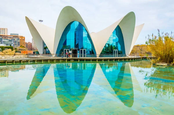 Valencia Spain December 2015 Oceanographic Center Aquarium City Arts Sciences — 스톡 사진