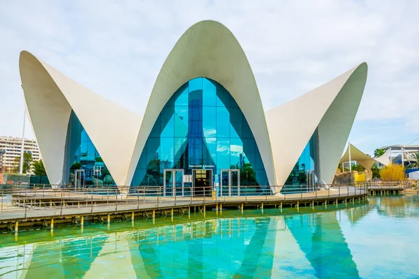Valencia España Diciembre 2015 Oceanographic Center Acuario Ciudad Las Artes —  Fotos de Stock