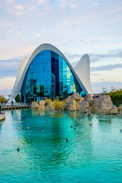 Valencia Spain December 2015 Oceanographic Center Aquarium City Arts Sciences —  Fotos de Stock