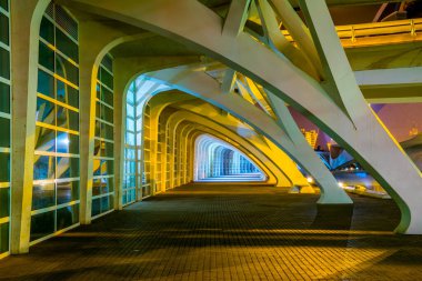 VALENCIA, SPAIN, DECEMBER 31, 2015: View of a modern structure situated alongside of the ciudad de las artes y de las ciencias in valencia during night