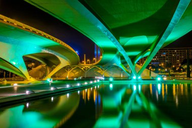 VALENCIA, SPAIN, DECEMBER 31, 2015: View of a modern structure situated alongside of the ciudad de las artes y de las ciencias in valencia during night