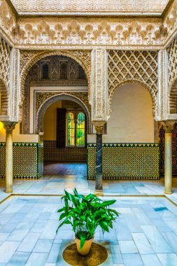 SEVILLA, SPAIN, JANUARY 7, 2016: İspanya 'nın sevilla kentindeki kraliyet alcazar sarayında sarı ve beyaz fayanslarla süslenmiş çiçekli bir avlu manzarası