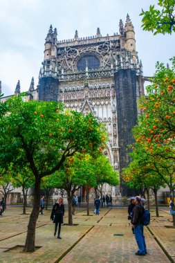 SEVILLA, SPAIN, JANUARY 7, 2016: İspanya 'nın Sevilla kentindeki katedralin içindeki Los Naranjos terasından insanlar çalıyor