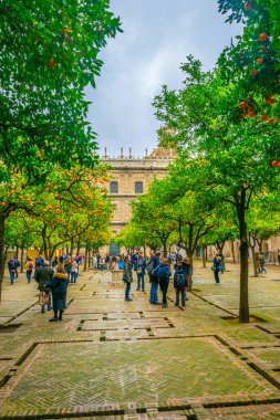 SEVILLA, SPAIN, JANUARY 7, 2016: İspanya 'nın Sevilla kentindeki katedralin içindeki Los Naranjos terasından insanlar çalıyor