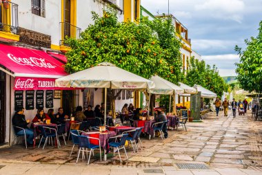 CORDOBA, SPAIN, JANUARY 8, 2016: İspanya 'nın Cordoba kentindeki küçük Plaza del Potro Meydanı' na bakınız..