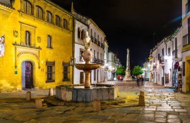 CORDOBA, SPAIN, JANUARY 8, 2016: İspanya 'nın Cordoba kentindeki Plaza del Potro Meydanı' nın gece manzarası..