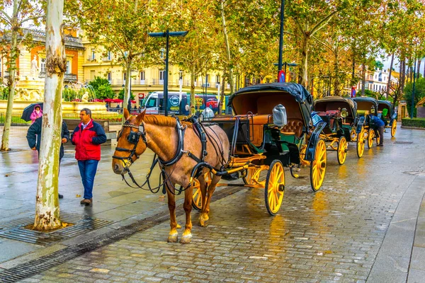 Sevilla Spain January 2016 View Carriage Horse Waiting Passengers Tour — Stock fotografie