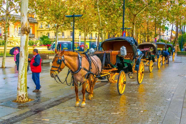 Sevilla Ισπανια Ιανουαριου 2016 Θέα Μιας Άμαξας Ένα Άλογο Που — Φωτογραφία Αρχείου