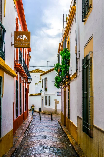 CORDOBA, SPAIN, HAZİRAN 8 HAZİRAN 2016: İspanya 'nın Cordoba kentinin Yahudi mahallesinin beyazlatılmış caddelerinde insanlar geziniyor
