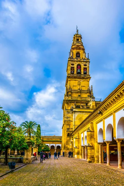 CORDOBA, SPAIN, HAZİRAN 8, 2016: İspanya 'nın Cordoba kentindeki La mezquita katedralinin avlusunda bulunan portakal ağaçları arasında insanlar yürüyor