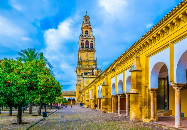 CORDOBA, SPAIN, HAZİRAN 8, 2016: İspanya 'nın Cordoba kentindeki La mezquita katedralinin avlusunda bulunan portakal ağaçları arasında insanlar yürüyor