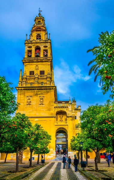 CORDOBA, SPAIN, HAZİRAN 8, 2016: İspanya 'nın Cordoba kentindeki La mezquita katedralinin avlusunda bulunan portakal ağaçları arasında insanlar yürüyor