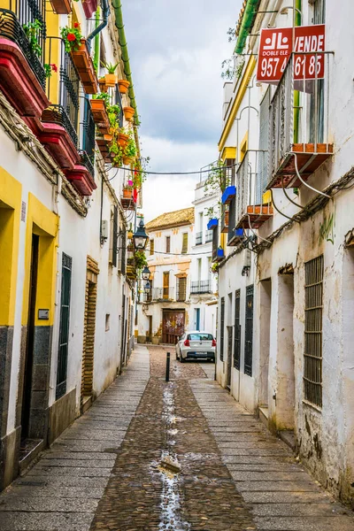 CORDOBA, SPAIN, HAZİRAN 8 HAZİRAN 2016: İspanya 'nın Cordoba kentinin Yahudi mahallesinin beyazlatılmış caddelerinde insanlar geziniyor