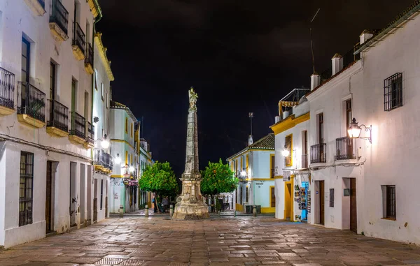 CORDOBA, SPAIN, JANUARY 8, 2016: İspanya 'nın Cordoba kentindeki Plaza del Potro Meydanı' nın gece manzarası..