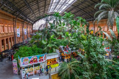 MADRID, SPAIN, HAZİRAN 10 HAZİRAN 2016: Madrid 'deki Atocha Tren İstasyonu' nda bulunan tropik yeşil ev.