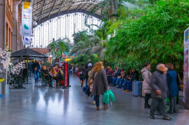 MADRID, SPAIN, HAZİRAN 10 HAZİRAN 2016: Madrid 'deki Atocha Tren İstasyonu' nda bulunan tropik yeşil ev.