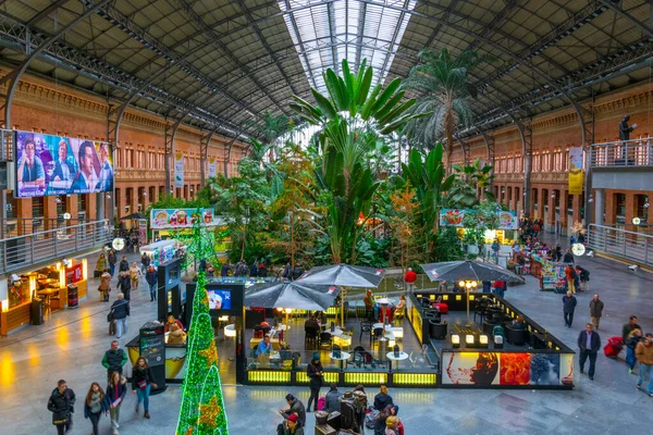 MADRID, SPAIN, HAZİRAN 10 HAZİRAN 2016: Madrid 'deki Atocha Tren İstasyonu' nda bulunan tropik yeşil ev.
