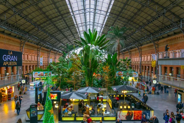 Madrid Spain January 2016 Tropical Green House Located Atocha Railway — Stok fotoğraf