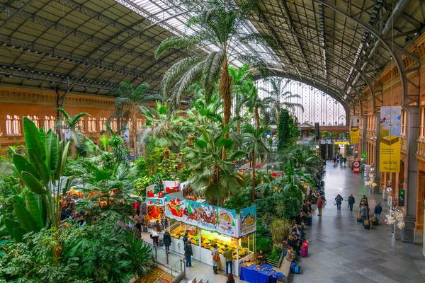 Madrid Spain January 2016 Tropical Green House Located Atocha Railway — 스톡 사진
