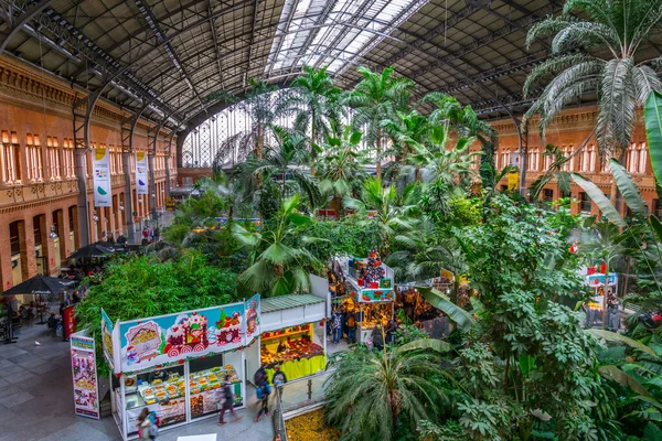 Мадрид Испания Января 2016 Тропический Зеленый Дом Расположенный Железнодорожном Вокзале — стоковое фото