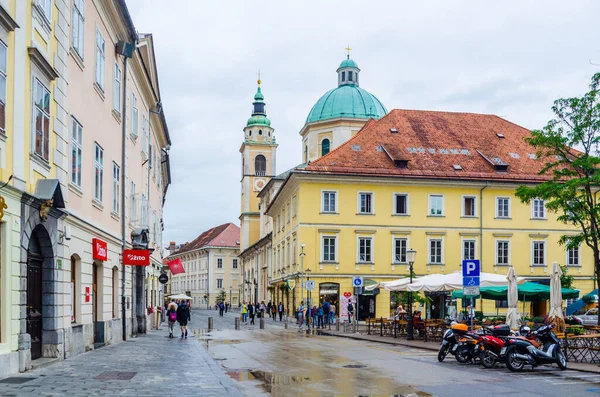 LJUBLJANA, SLOVENIA, 29 Temmuz 2015: Sloven başkenti Ljubljana 'daki katedrale giden caddenin görüntüsü.