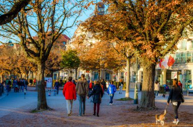 ZURİH, SWitzERLAND, ECTOBER 24, 2015: İnsanlar sonbahar öğleden sonra İsviçre 'de Zürih Gölü boyunca güneşli bir gezinti alanında yürüyorlar