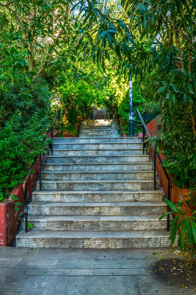 Atina 'daki Lycabetus tepesine çıkan dar bir caddenin manzarası çiçeklerle çevrili uzun bir merdivenle..