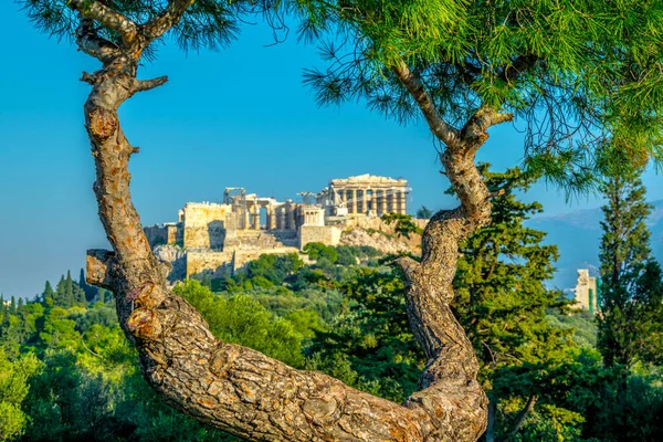 Vista Acrópolis Escondida Detrás Árbol Desde Colina Filopappos Atenas Grecia — Foto de Stock